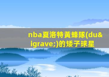 nba夏洛特黃蜂隊(duì)的矮子球星