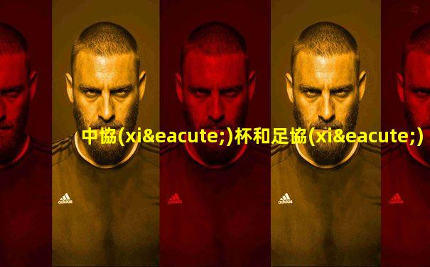 中協(xié)杯和足協(xié)杯