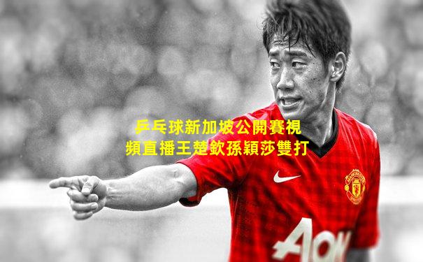 乒乓球新加坡公開賽視頻直播王楚欽孫穎莎雙打