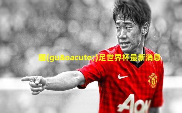 國(guó)足世界杯最新消息
