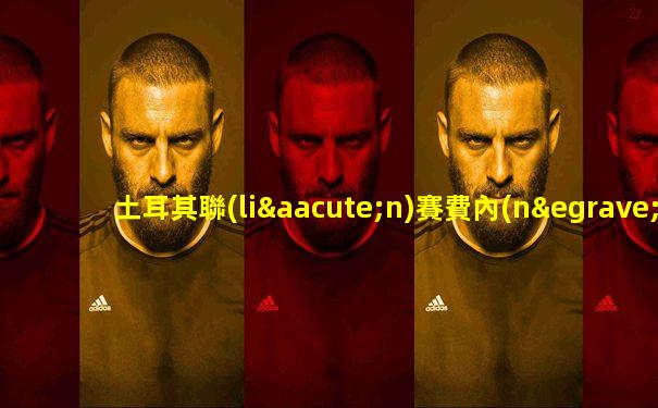 土耳其聯(lián)賽費內(nèi)巴切群毆