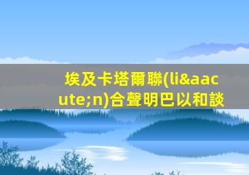 埃及卡塔爾聯(lián)合聲明巴以和談
