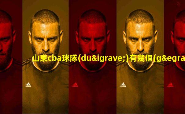 山東cba球隊(duì)有幾個(gè)