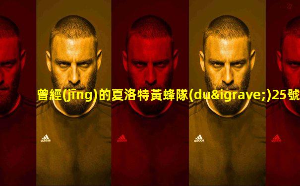 曾經(jīng)的夏洛特黃蜂隊(duì)25號(hào)是誰(shuí)