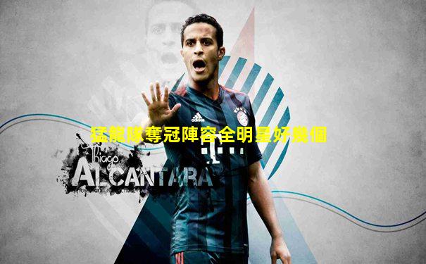 猛龍隊奪冠陣容全明星好幾個