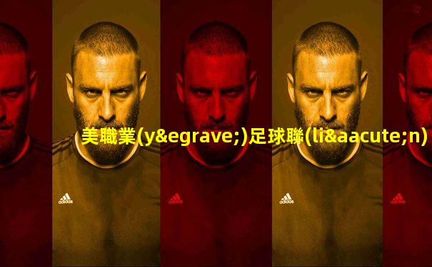 美職業(yè)足球聯(lián)賽總決賽