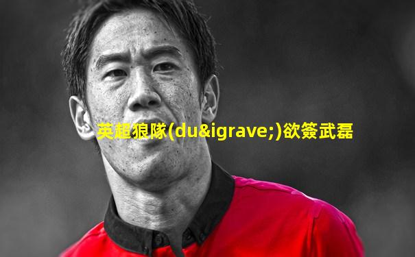 英超狼隊(duì)欲簽武磊