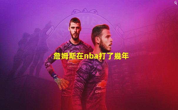 詹姆斯在nba打了幾年