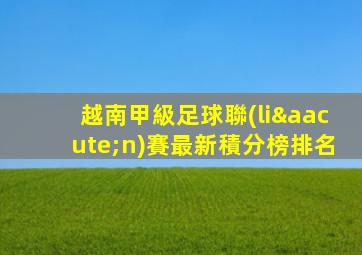 越南甲級足球聯(lián)賽最新積分榜排名